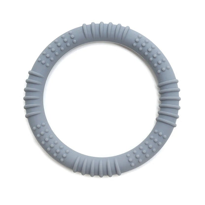 נשכן סיליקון