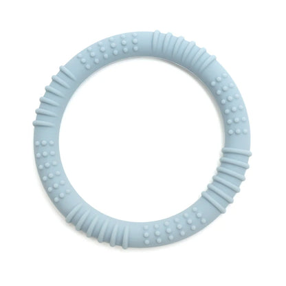 נשכן סיליקון