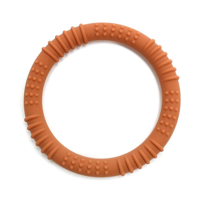 נשכן סיליקון