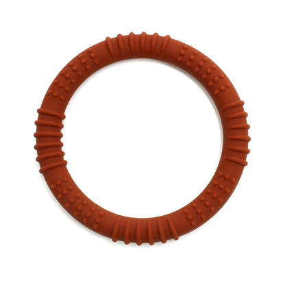 נשכן סיליקון